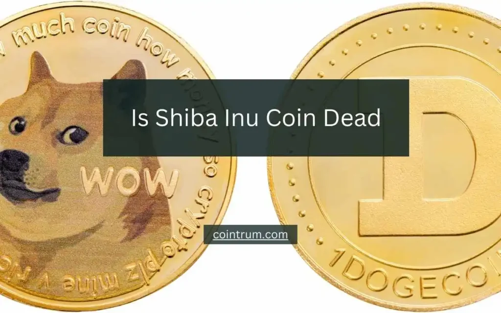 is shiba inu coin dead